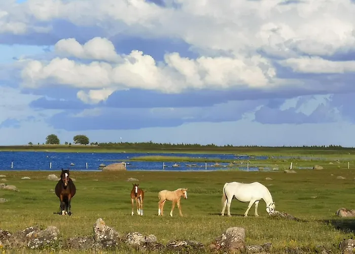 Tika Farmstay