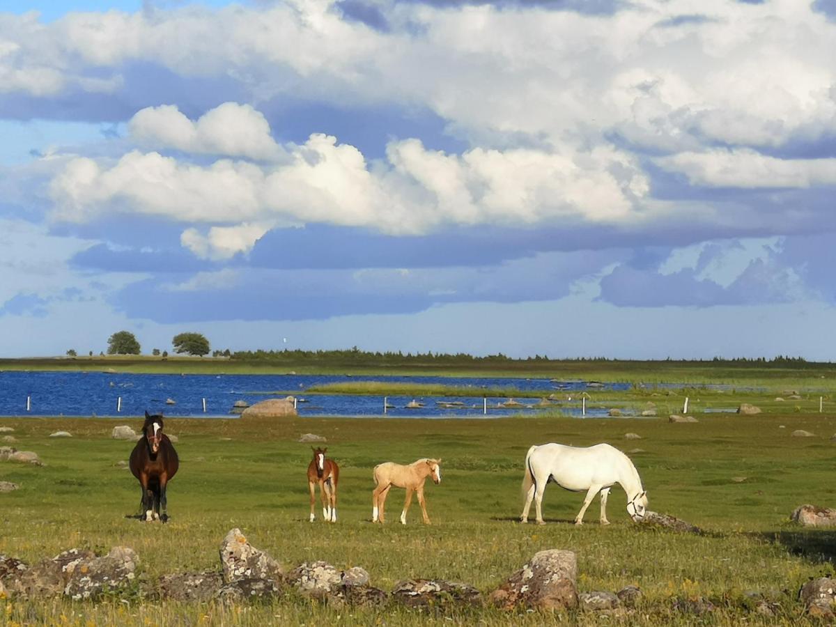 Bauernhof Tika Farmstay